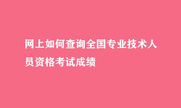 网上如何查询全国专业技术人员资格考试成绩