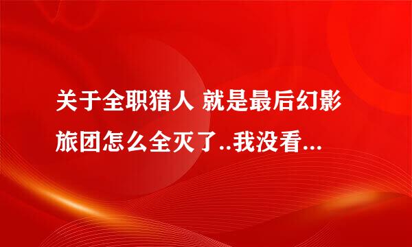关于全职猎人 就是最后幻影旅团怎么全灭了..我没看懂，还有团长和那两个人打架怎么不打了