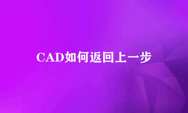 CAD如何返回上一步