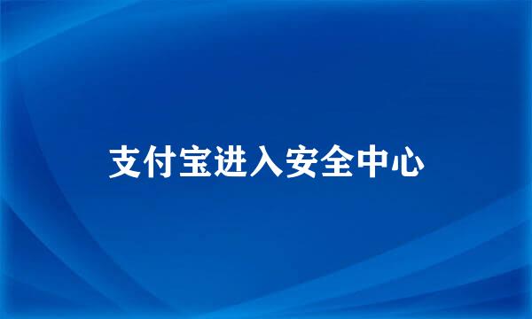 支付宝进入安全中心
