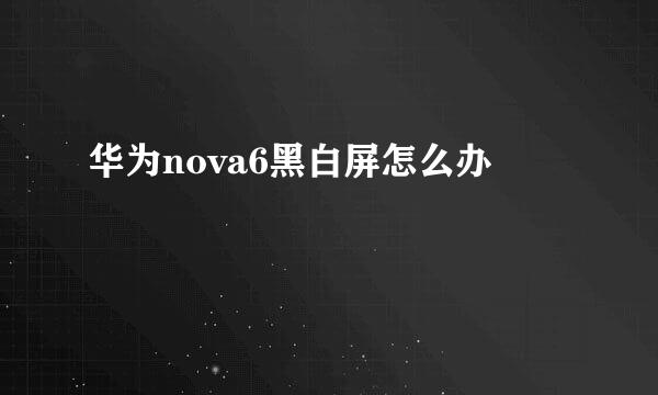 华为nova6黑白屏怎么办