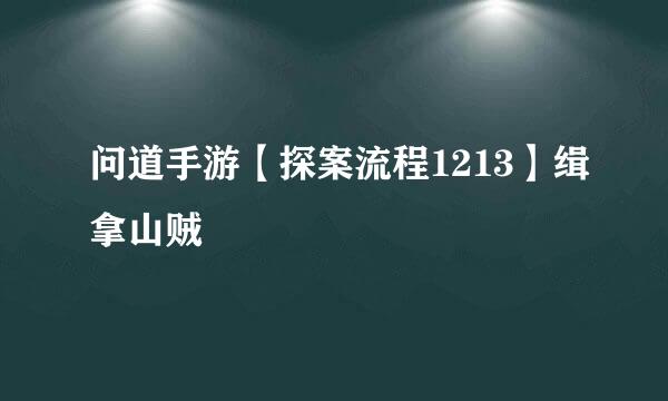 问道手游【探案流程1213】缉拿山贼