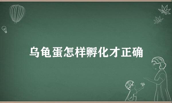 乌龟蛋怎样孵化才正确