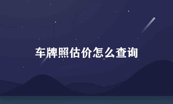 车牌照估价怎么查询
