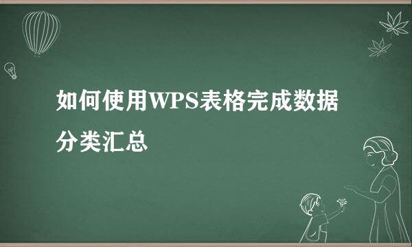 如何使用WPS表格完成数据分类汇总