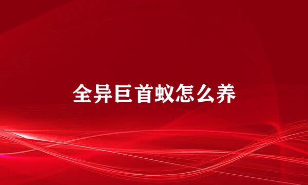 全异巨首蚁怎么养