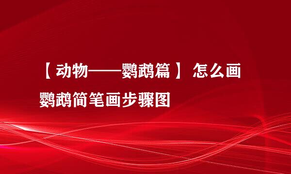 【动物——鹦鹉篇】 怎么画鹦鹉简笔画步骤图