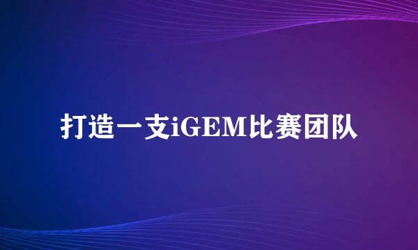 打造一支iGEM比赛团队