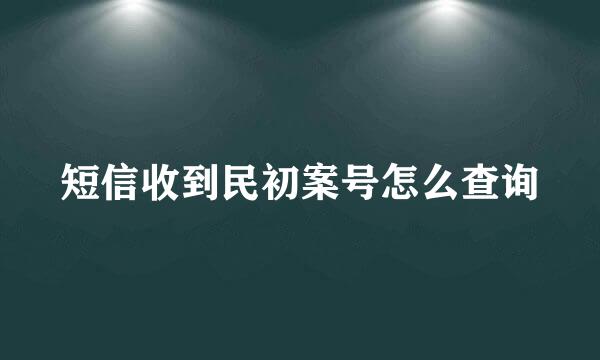 短信收到民初案号怎么查询