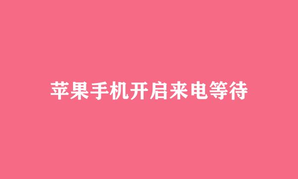 苹果手机开启来电等待