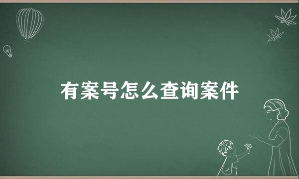 有案号怎么查询案件