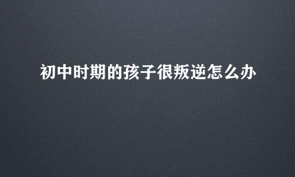 初中时期的孩子很叛逆怎么办