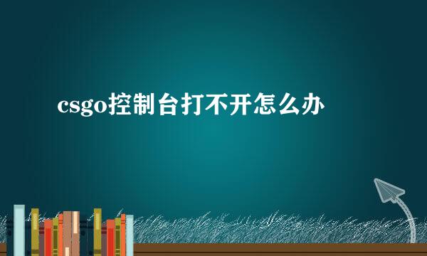 csgo控制台打不开怎么办