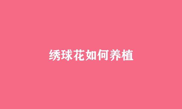 绣球花如何养植