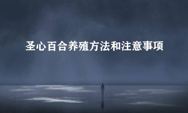 圣心百合养殖方法和注意事项