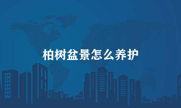 柏树盆景怎么养护