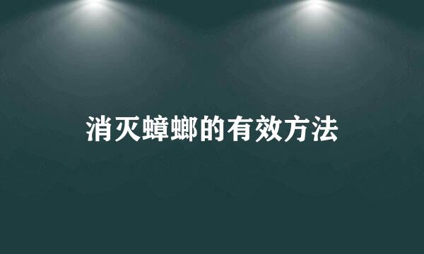 消灭蟑螂的有效方法