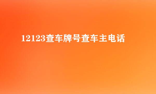 12123查车牌号查车主电话