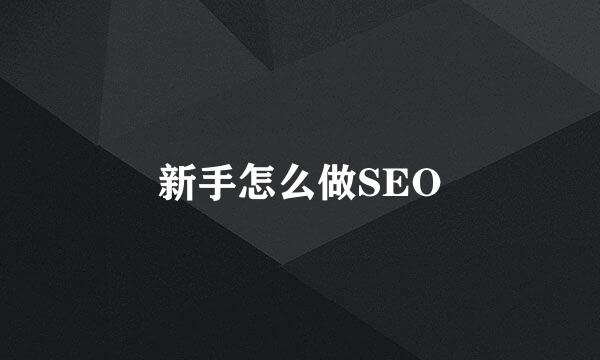 新手怎么做SEO