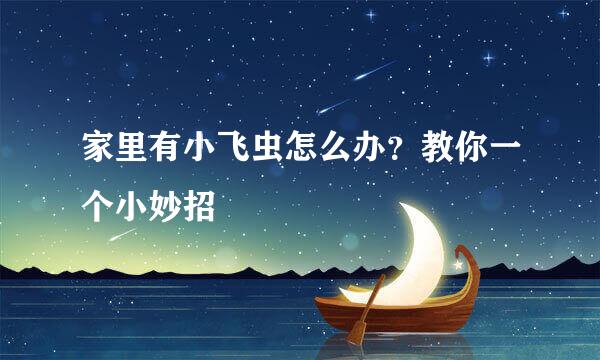 家里有小飞虫怎么办？教你一个小妙招