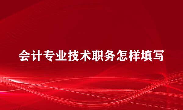 会计专业技术职务怎样填写
