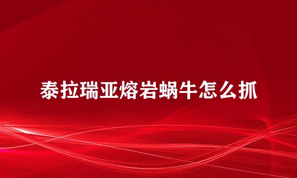 泰拉瑞亚熔岩蜗牛怎么抓