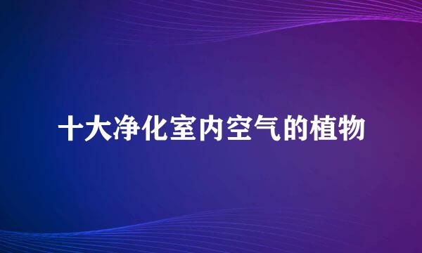 十大净化室内空气的植物