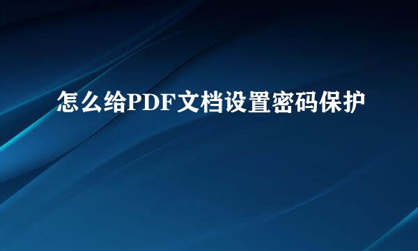 怎么给PDF文档设置密码保护