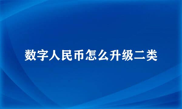 数字人民币怎么升级二类