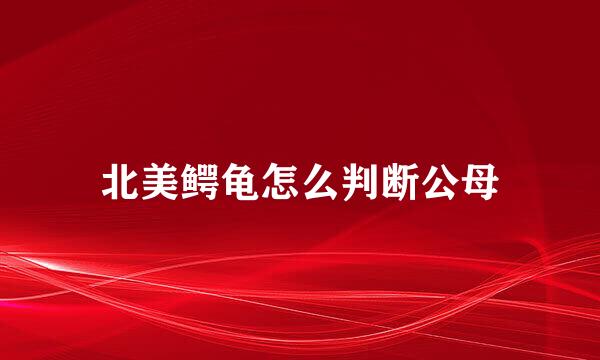 北美鳄龟怎么判断公母