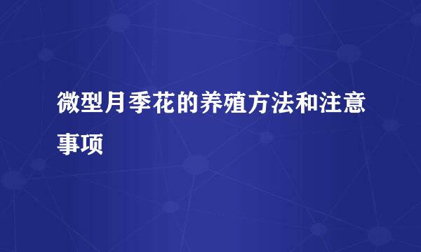 微型月季花的养殖方法和注意事项