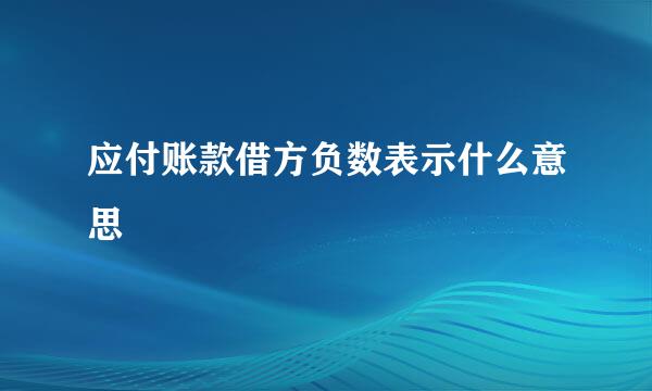应付账款借方负数表示什么意思