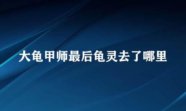 大龟甲师最后龟灵去了哪里