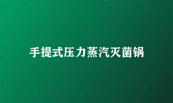 手提式压力蒸汽灭菌锅