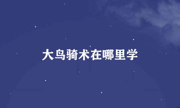 大鸟骑术在哪里学