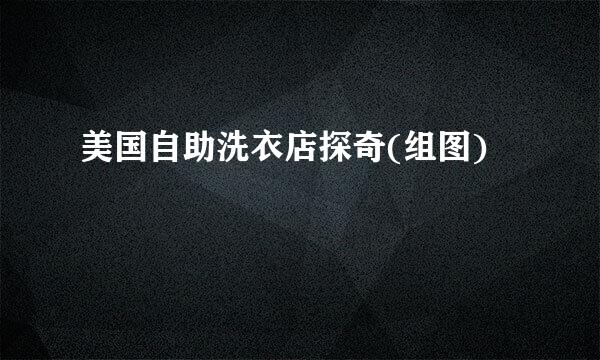 美国自助洗衣店探奇(组图)