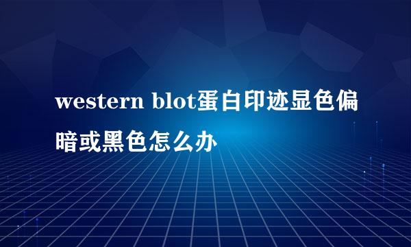 western blot蛋白印迹显色偏暗或黑色怎么办