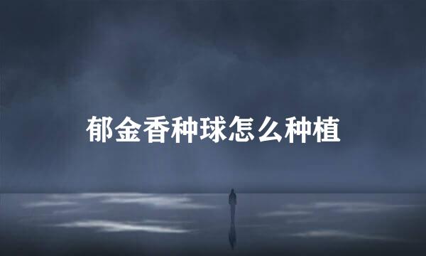 郁金香种球怎么种植