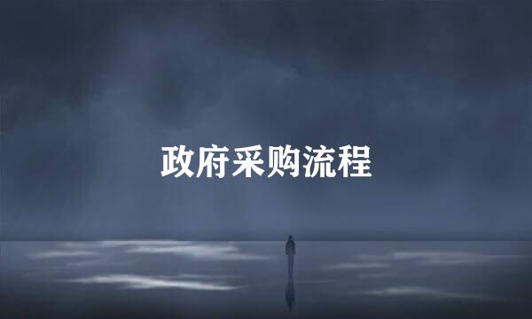 政府采购流程