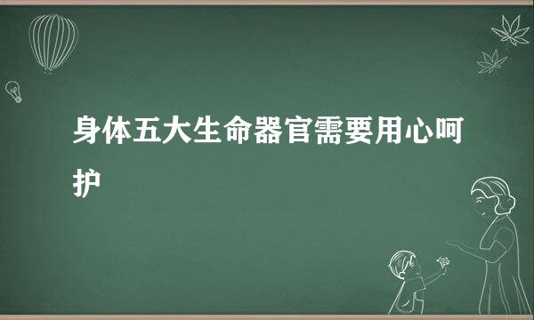身体五大生命器官需要用心呵护