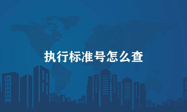 执行标准号怎么查