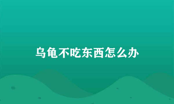 乌龟不吃东西怎么办