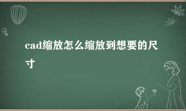cad缩放怎么缩放到想要的尺寸