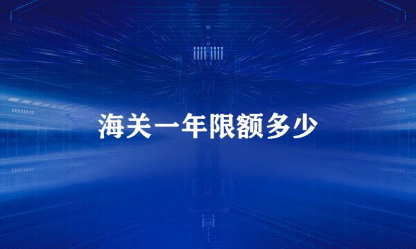 海关一年限额多少