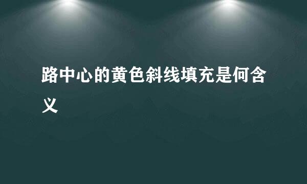 路中心的黄色斜线填充是何含义