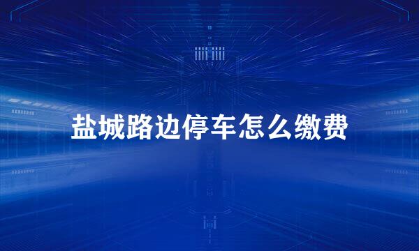 盐城路边停车怎么缴费