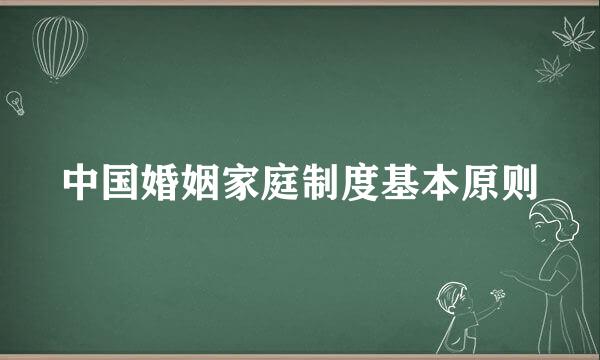 中国婚姻家庭制度基本原则