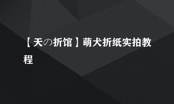 【天の折馆】萌犬折纸实拍教程