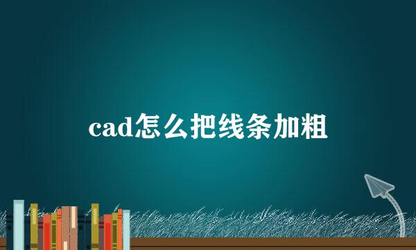 cad怎么把线条加粗