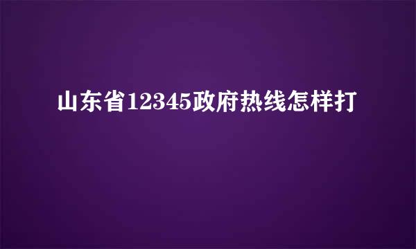 山东省12345政府热线怎样打